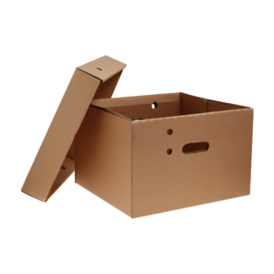 Caja archivos